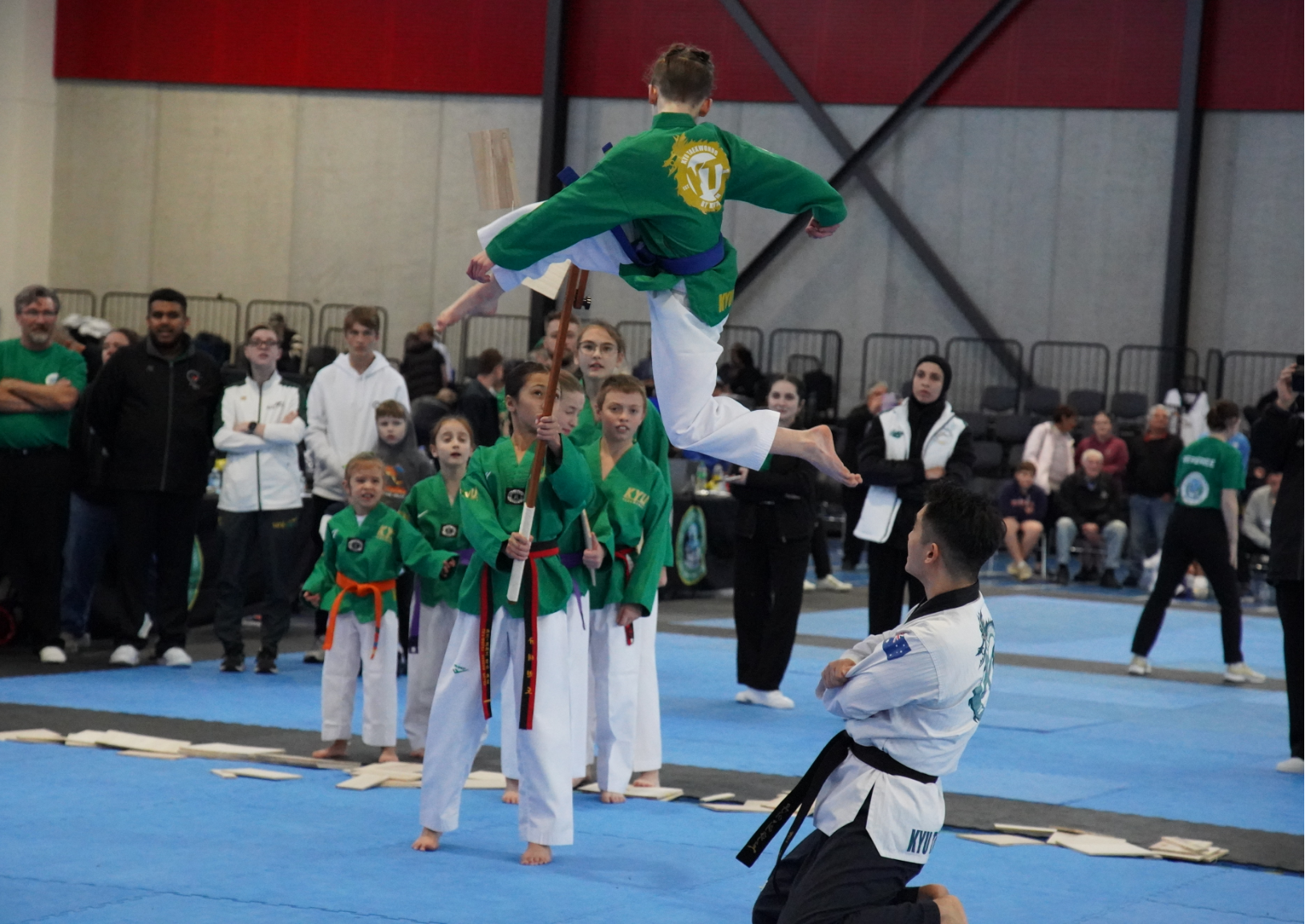 Dynamic demonstration of advanced Taekwondo techniques and skills